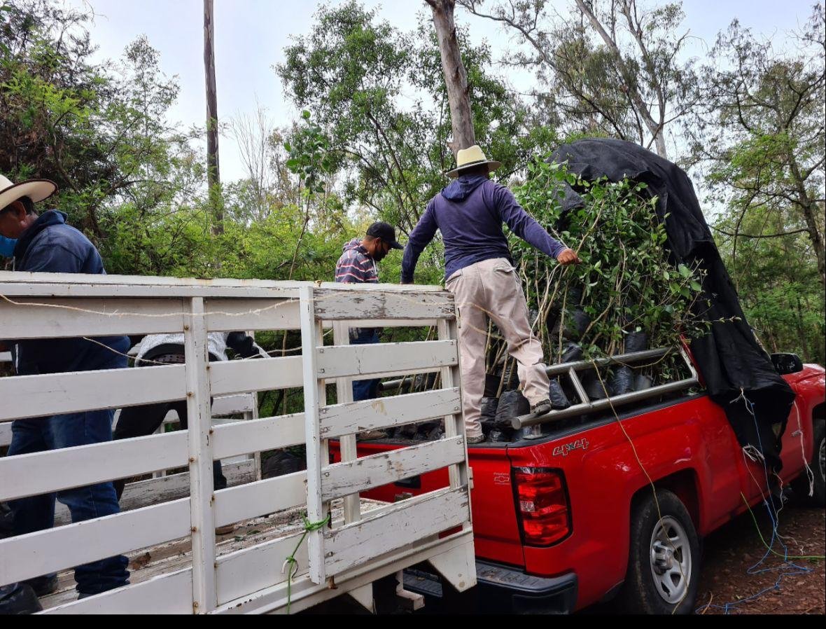 whatsapp image 2026 01 30 at 4.42.32 pm